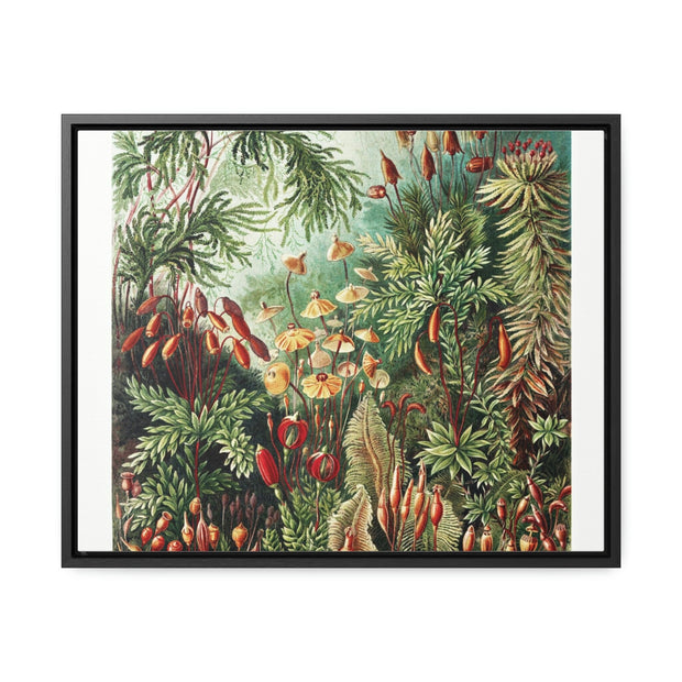 Gallery Canvas Wraps, Horizontal Frame