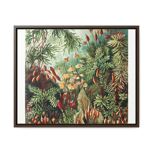Gallery Canvas Wraps, Horizontal Frame