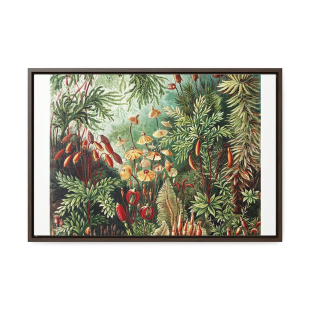 Gallery Canvas Wraps, Horizontal Frame