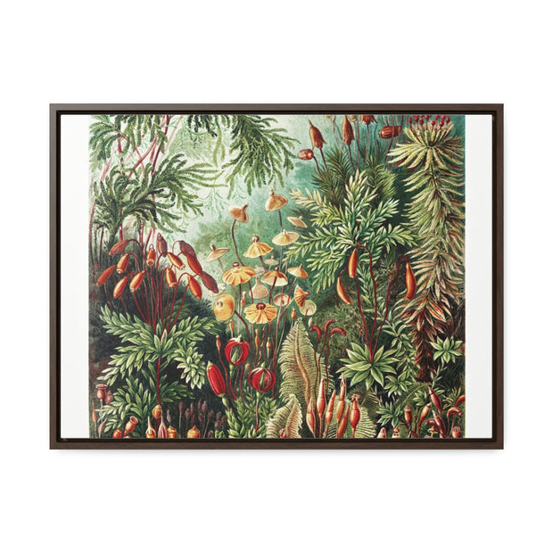 Gallery Canvas Wraps, Horizontal Frame