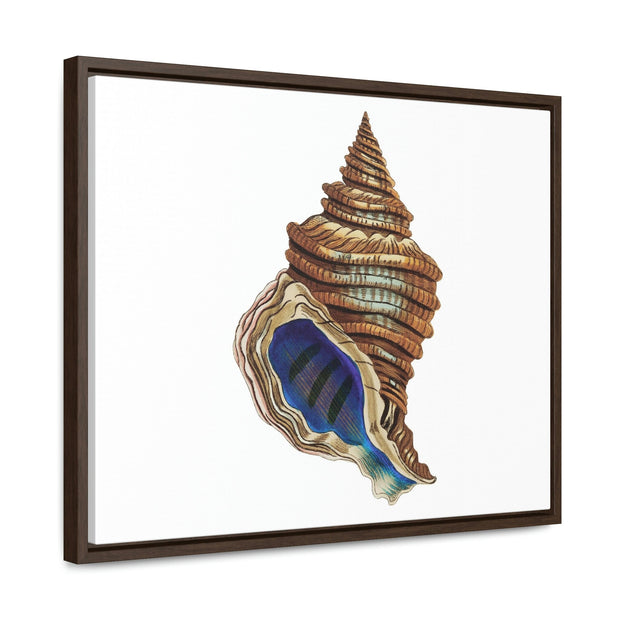 Gallery Canvas Wraps, Horizontal Frame