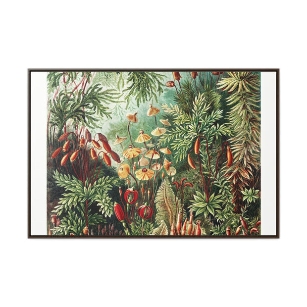 Gallery Canvas Wraps, Horizontal Frame