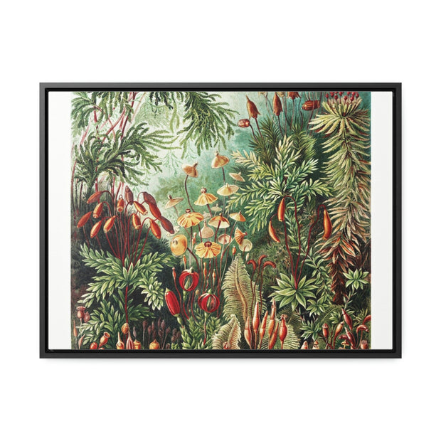 Gallery Canvas Wraps, Horizontal Frame