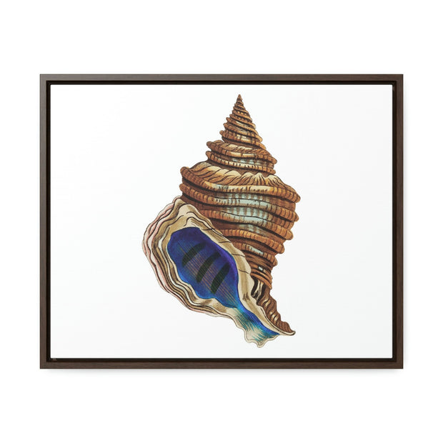 Gallery Canvas Wraps, Horizontal Frame